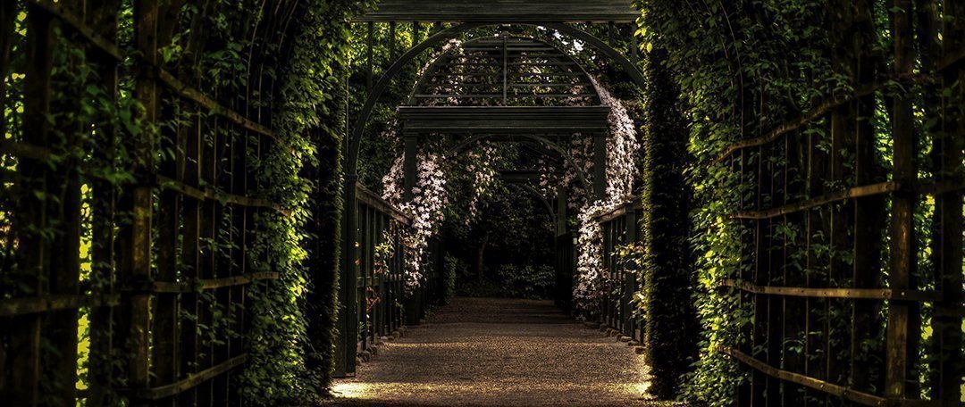 Goedkope tuinideeën voor een grote of kleine tuin (alle seizoenen)