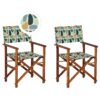 Set van 2 stoelen Hout Multicolor CINE